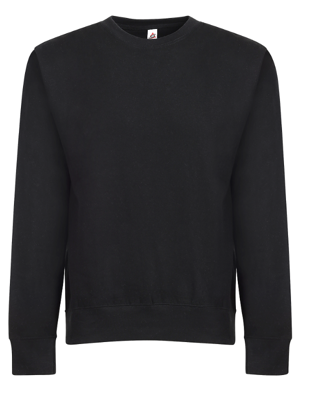 Smart Blank Sweatshirts Adult