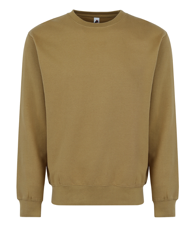 Smart Blank Sweatshirts Adult