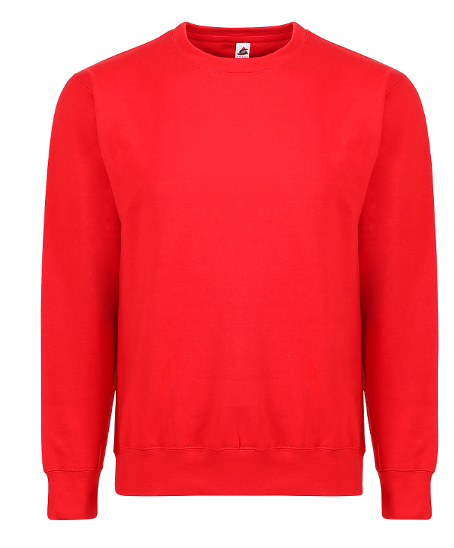 Smart Blank Sweatshirts Adult