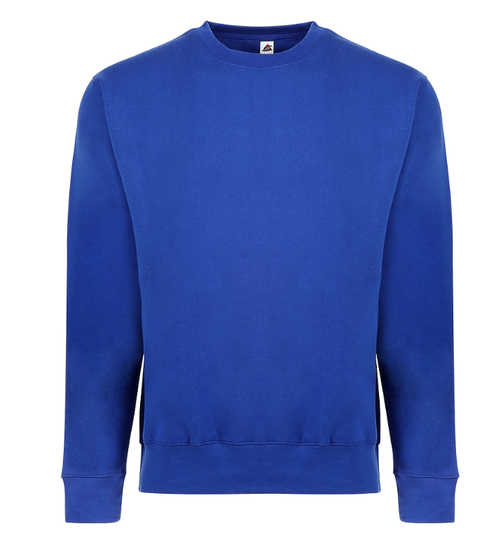 Smart Blank Sweatshirts Adult